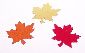 Maple Leaf Confetti by the pound or packet