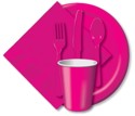 Hot Magenta Tableware, Fuchsia