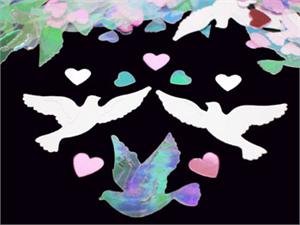 Dove Confetti, Deluxe