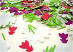 Flower Confetti, Daisies and Tulips