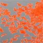 Neon Party Supplies