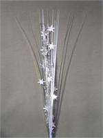Silver Star Spray, sold in dozens