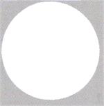 Large White Round Confetti