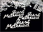 Silver Just Married Confetti