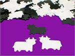 Black and White Cow Confetti 